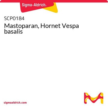 Mastoparan, Hornet Vespa basalis