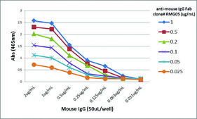 Anti-Mouse IgG Fab-Biotin antibody, Goat monoclonal recombinant, expressed in HEK 293 cells, clone RMG05, purified immunoglobulin