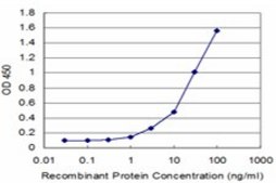 Monoclonal Anti-FTL antibody produced in mouse clone 1C2, purified immunoglobulin, buffered aqueous solution