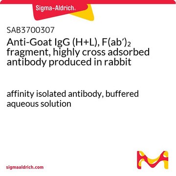 Anti-Goat IgG (H+L), F(ab&#8242;)2 fragment, highly cross adsorbed antibody produced in rabbit affinity isolated antibody, buffered aqueous solution