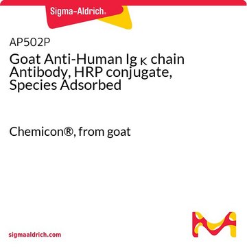 Goat Anti-Human Ig &#954; chain Antibody, HRP conjugate, Species Adsorbed Chemicon&#174;, from goat