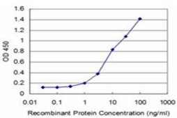 ANTI-HOXA5 antibody produced in mouse clone 3E8, purified immunoglobulin, buffered aqueous solution