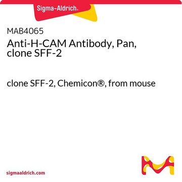 Anti-H-CAM Antibody, Pan, clone SFF-2 clone SFF-2, Chemicon&#174;, from mouse