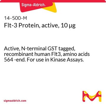 Flt-3 Protein, active, 10 &#181;g Active, N-terminal GST tagged, recombinant human Flt3, amino acids 564 -end. For use in Kinase Assays.