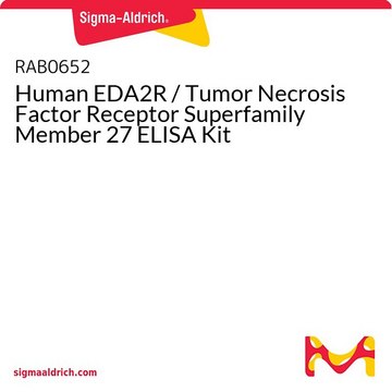 Human EDA2R / Tumor Necrosis Factor Receptor Superfamily Member 27 ELISA Kit