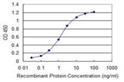 Monoclonal Anti-SIN3A, (N-terminal) antibody produced in mouse clone 1B7, purified immunoglobulin, buffered aqueous solution