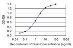 Monoclonal Anti-GOLGA2 antibody produced in mouse clone 2C6, purified immunoglobulin, buffered aqueous solution