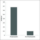 Anti-phospho-IL-2R &#946; (pTyr364) antibody produced in rabbit affinity isolated antibody
