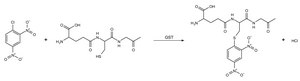 Glutathione-S-Transferase (GST) Assay Kit sufficient for 500&#160;multiwell tests