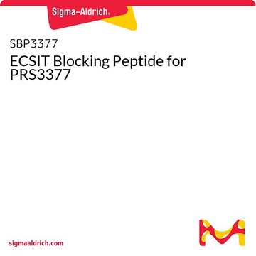 ECSIT Blocking Peptide for PRS3377