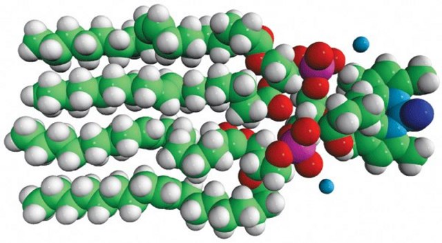 TopFluor&#8482; Cardiolipin 1,1&#8242;,2,2&#8242;-tetraoleoyl cardiolipin[4-(dipyrrometheneboron difluoride)butanoyl] (ammonium salt) TopFluor&#8482; Cardiolipin, chloroform
