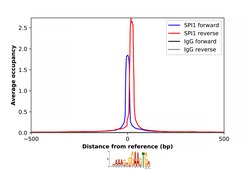 Anti-SPI1 antibody produced in rabbit Prestige Antibodies&#174; Powered by Atlas Antibodies, affinity isolated antibody, buffered aqueous glycerol solution