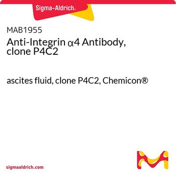 Anti-Integrin &#945;4 Antibody, clone P4C2 ascites fluid, clone P4C2, Chemicon&#174;