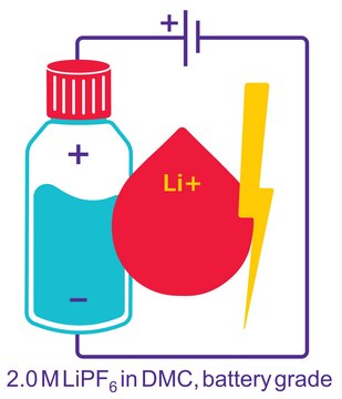 Lithium hexafluorophosphate solution in dimethyl carbonate, 2.0 M LiPF6 DMC, battery grade