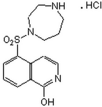 Hydroxyfasudil A cell-permeable, hydroxylated metabolite of HA 1077 that displays anti-anginal properties.