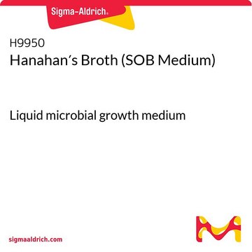 Hanahan&#8242;s Broth (SOB Medium) Liquid microbial growth medium