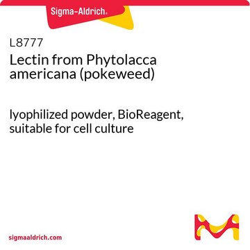 Lectin from Phytolacca americana (pokeweed) lyophilized powder, BioReagent, suitable for cell culture