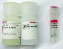 SYBR&#174; Green Extract-N-Amp&#8482; Plant PCR Kit sufficient for 100&#160;preparations
