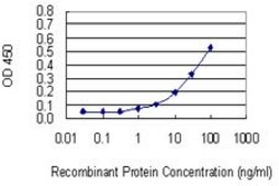 Monoclonal Anti-CUL3 antibody produced in mouse clone 1A3, purified immunoglobulin, buffered aqueous solution