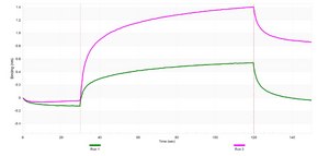 Anti-Lipocalin-2/NGAL Antibody, clone 1E3 ZooMAb&#174; Rabbit Monoclonal recombinant, expressed in HEK 293 cells