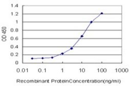 Monoclonal Anti-HGD antibody produced in mouse clone 3G4, purified immunoglobulin, buffered aqueous solution