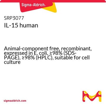 IL-15 human Animal-component free, recombinant, expressed in E. coli, &#8805;98% (SDS-PAGE), &#8805;98% (HPLC), suitable for cell culture