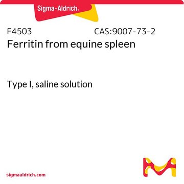 Ferritin from equine spleen Type I, saline solution