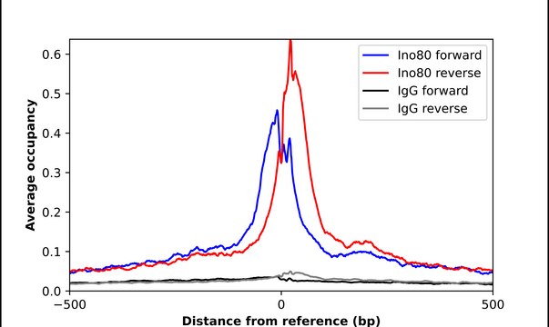 Anti-INO80 antibody produced in rabbit Prestige Antibodies&#174; Powered by Atlas Antibodies, affinity isolated antibody