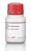 &#946;-Casein from bovine milk BioUltra, &#8805;98% (PAGE)
