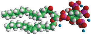 18:1 PI(3,4,5)P3 1,2-dioleoyl-sn-glycero-3-phospho-(1&#8242;-myo-inositol-3&#8242;,4&#8242;,5&#8242;-trisphosphate) (ammonium salt), powder