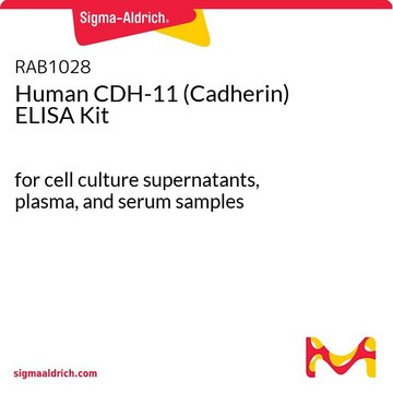 Human CDH-11 (Cadherin) ELISA Kit for cell culture supernatants, plasma, and serum samples