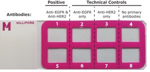 Duolink&#174; PLA Control Kit - PPI Control Kit to reliably detect Protein-Protein Interactions (PPI) with Duolink&#174; PLA