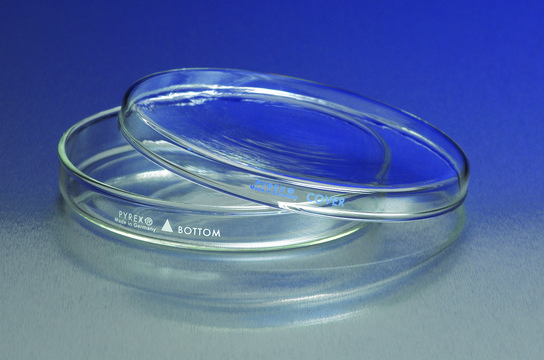 Pyrex&#174; petri dishes complete, O.D. × H 100&#160;mm × 10&#160;mm