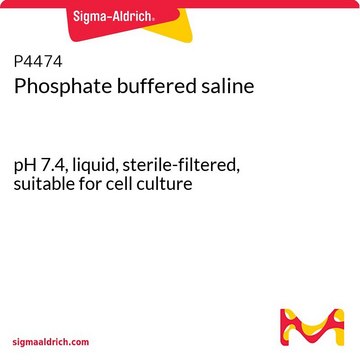 Phosphate buffered saline pH 7.4, liquid, sterile-filtered, suitable for cell culture