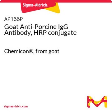 Goat Anti-Porcine IgG Antibody, HRP conjugate Chemicon&#174;, from goat