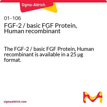 FGF-2 / basic FGF Protein, Human recombinant The FGF-2 / basic FGF Protein, Human recombinant is available in a 25 &#181;g format.