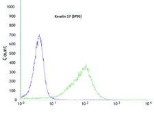 Anti-Keratin 17 antibody, Rabbit monoclonal recombinant, expressed in proprietary host, clone SP95, affinity isolated antibody