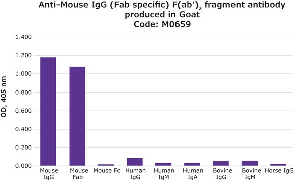 Anti-Mouse IgG (Fab specific) F(ab&#8242;)2 fragment antibody produced in goat affinity isolated antibody