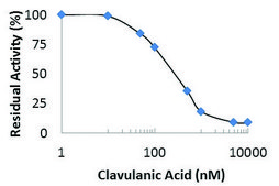 Beta-Lactamase Inhibitor Screening Kit Sufficient for 100 Colorimetric tests