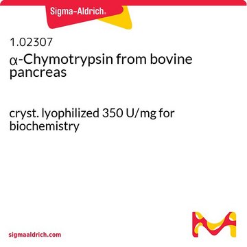 &#945;-Chymotrypsin from bovine pancreas cryst. lyophilized 350 U/mg for biochemistry