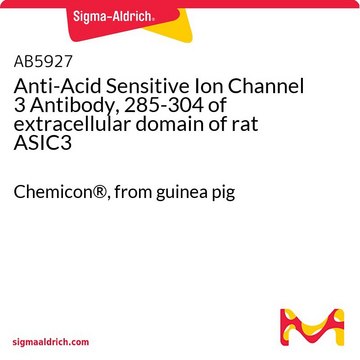 Anti-Acid Sensitive Ion Channel 3 Antibody, 285-304 of extracellular domain of rat ASIC3 Chemicon&#174;, from guinea pig