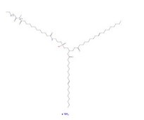 18:1 PE pSar25 Avanti Research&#8482; - A Croda Brand