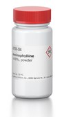Aminophylline &#8805;98%, powder