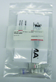 123 bp DNA Ladder for DNA electrophoresis