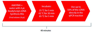 ReadyScript&#174; cDNA Synthesis Mix Complete reagent for first strand cDNA synthesis for RT-qPCR