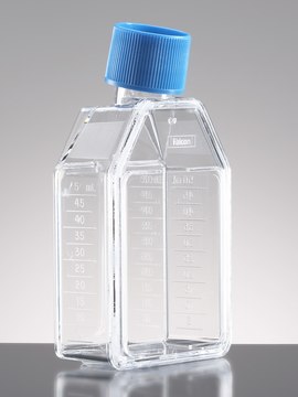 Corning&#174; BioCoat&#8482; Poly-D-Lysine Cell Culture Flask capacity 25&#160;cm2, rectangular flask, canted neck, vented, Cap