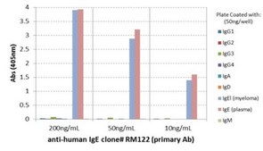 Rabbit Anti-Human IgE Antibody, clone RM122 clone RM122, from rabbit
