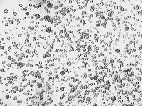 3dGRO&#174; Colorectal Organoids (CSC.171C.G1)