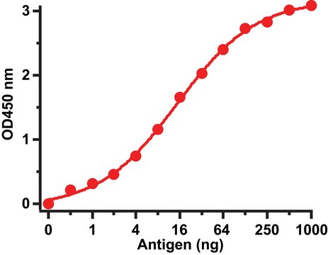 Anti-SARS-CoV Spike antibody produced in rabbit affinity isolated antibody