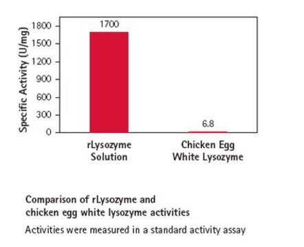 rLysozyme Solution Stabilized recombinant lysozyme